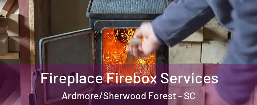 Fireplace Firebox Services Ardmore/Sherwood Forest - SC