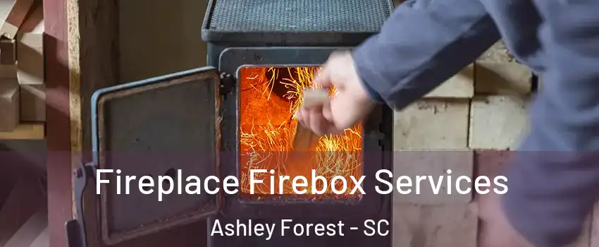 Fireplace Firebox Services Ashley Forest - SC