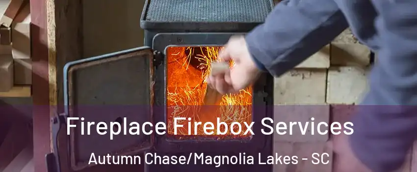 Fireplace Firebox Services Autumn Chase/Magnolia Lakes - SC