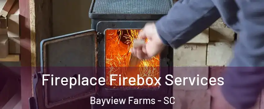 Fireplace Firebox Services Bayview Farms - SC