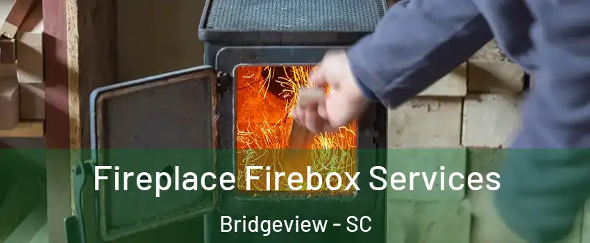 Fireplace Firebox Services Bridgeview - SC