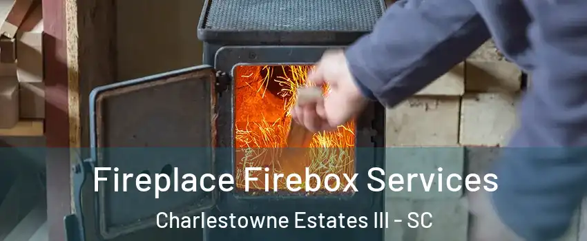 Fireplace Firebox Services Charlestowne Estates III - SC