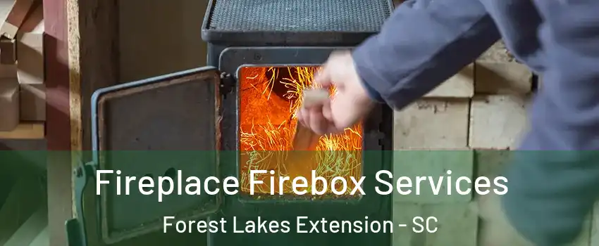 Fireplace Firebox Services Forest Lakes Extension - SC