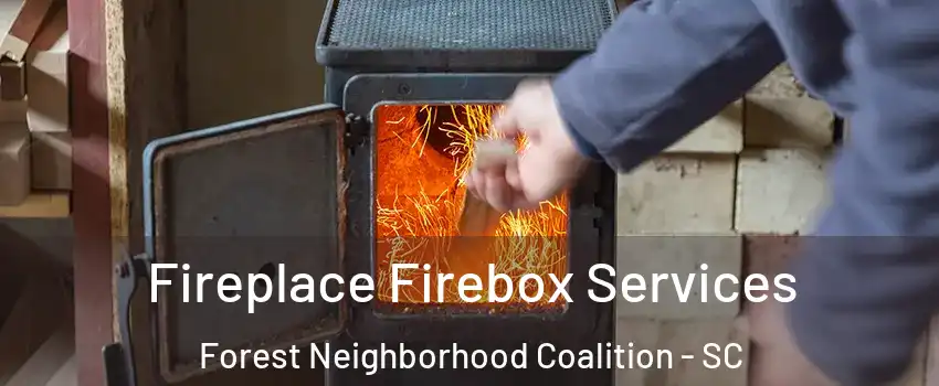 Fireplace Firebox Services Forest Neighborhood Coalition - SC