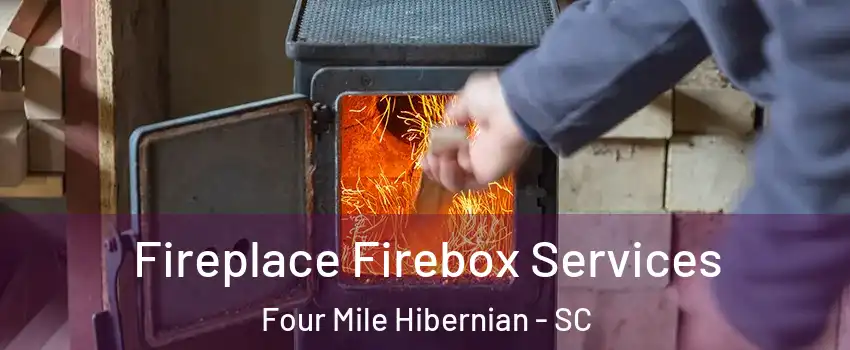 Fireplace Firebox Services Four Mile Hibernian - SC