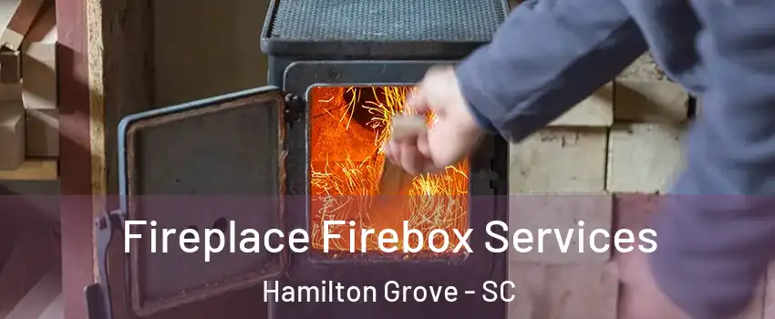 Fireplace Firebox Services Hamilton Grove - SC