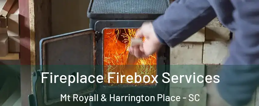 Fireplace Firebox Services Mt Royall & Harrington Place - SC