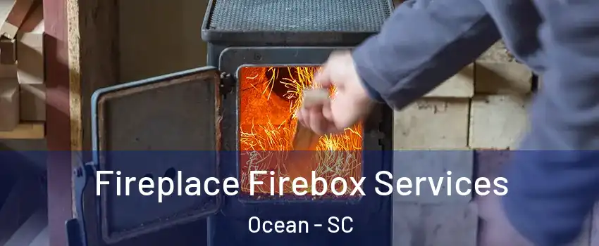 Fireplace Firebox Services Ocean - SC