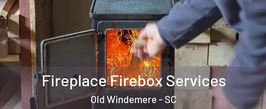 Fireplace Firebox Services Old Windemere - SC