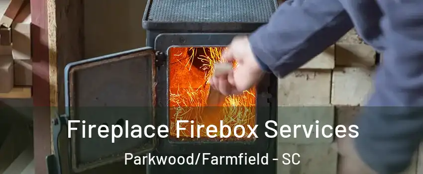 Fireplace Firebox Services Parkwood/Farmfield - SC