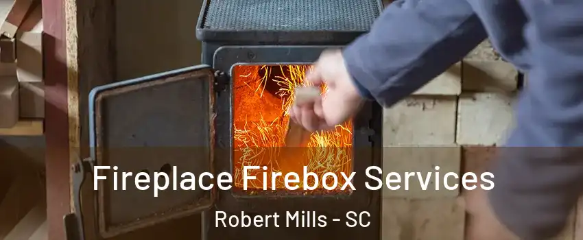 Fireplace Firebox Services Robert Mills - SC