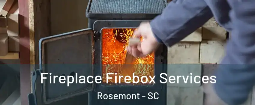 Fireplace Firebox Services Rosemont - SC