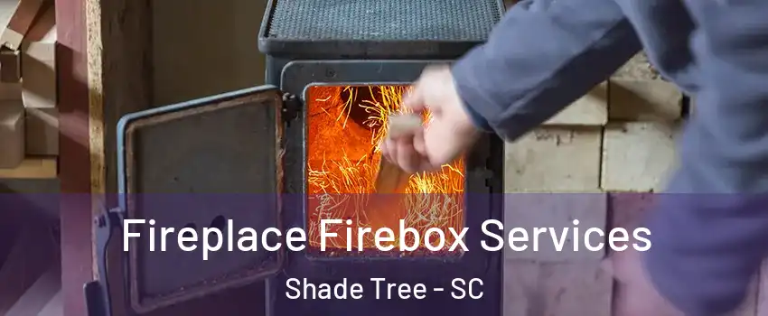 Fireplace Firebox Services Shade Tree - SC