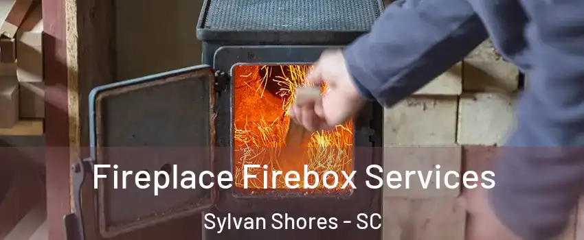 Fireplace Firebox Services Sylvan Shores - SC