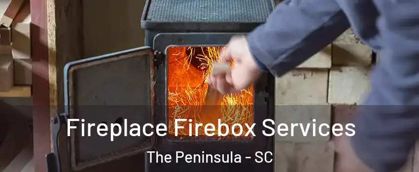 Fireplace Firebox Services The Peninsula - SC