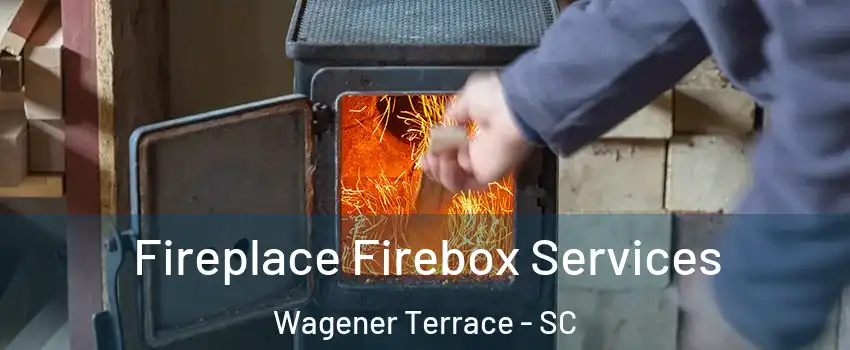 Fireplace Firebox Services Wagener Terrace - SC