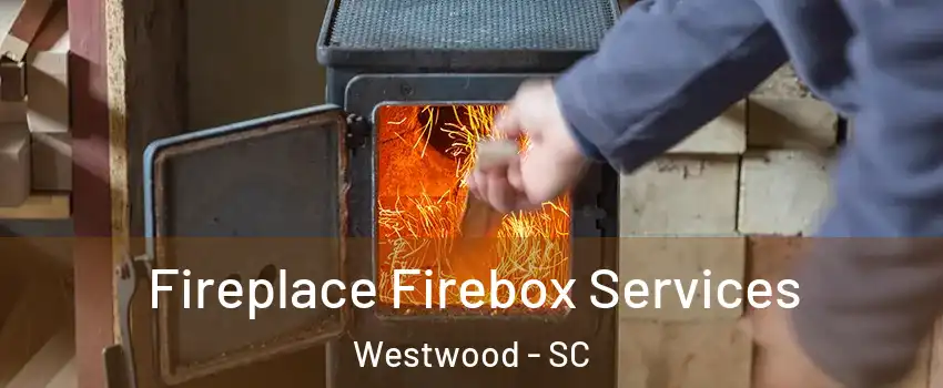 Fireplace Firebox Services Westwood - SC