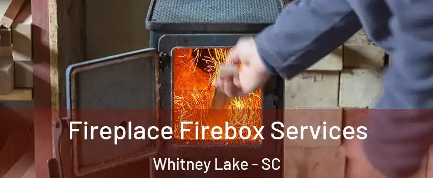 Fireplace Firebox Services Whitney Lake - SC