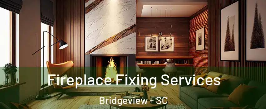 Fireplace Fixing Services Bridgeview - SC