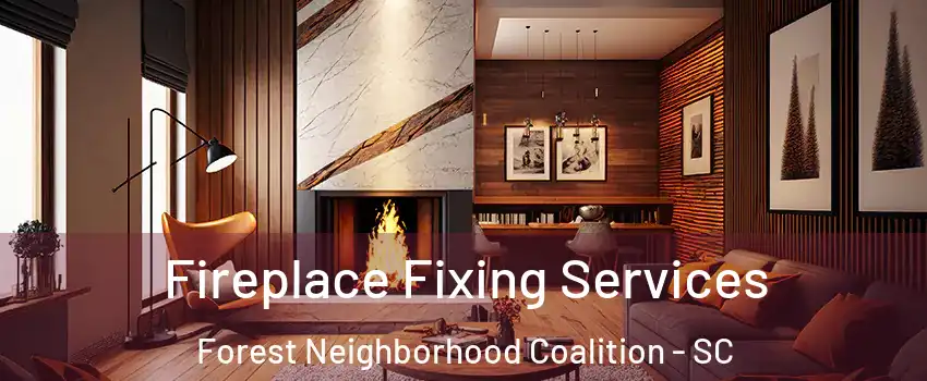 Fireplace Fixing Services Forest Neighborhood Coalition - SC