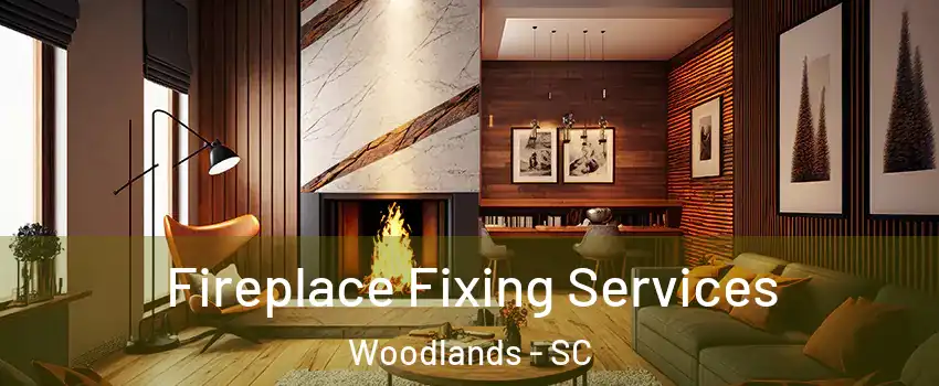 Fireplace Fixing Services Woodlands - SC