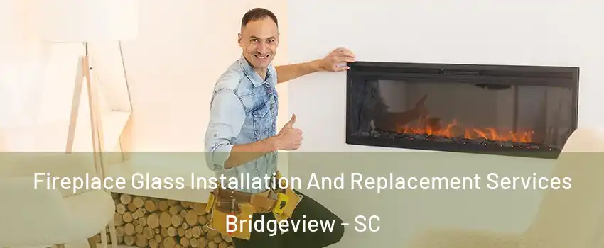 Fireplace Glass Installation And Replacement Services Bridgeview - SC