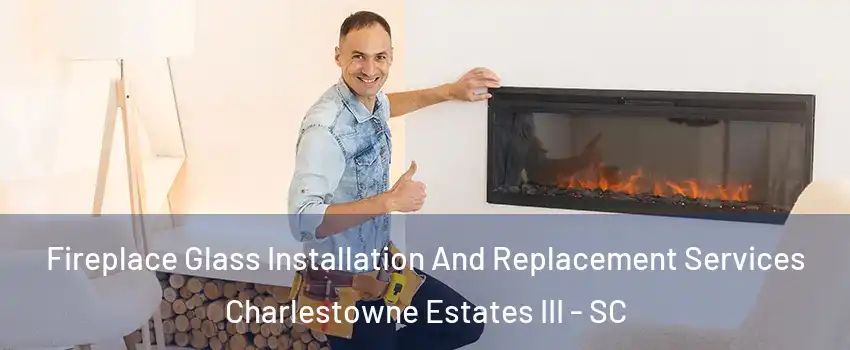 Fireplace Glass Installation And Replacement Services Charlestowne Estates III - SC