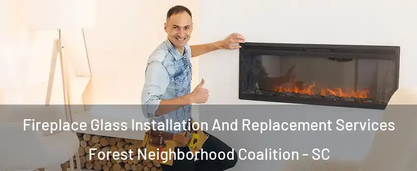 Fireplace Glass Installation And Replacement Services Forest Neighborhood Coalition - SC