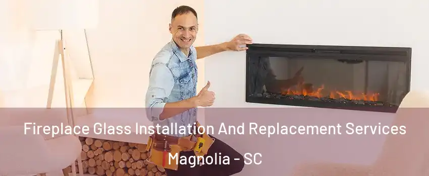 Fireplace Glass Installation And Replacement Services Magnolia - SC