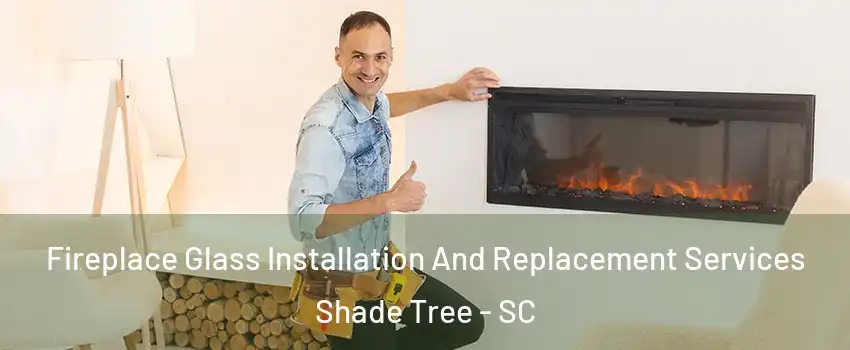 Fireplace Glass Installation And Replacement Services Shade Tree - SC