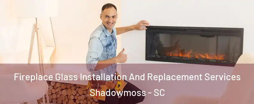 Fireplace Glass Installation And Replacement Services Shadowmoss - SC