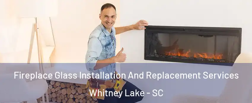 Fireplace Glass Installation And Replacement Services Whitney Lake - SC