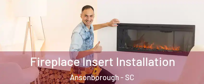 Fireplace Insert Installation Ansonborough - SC