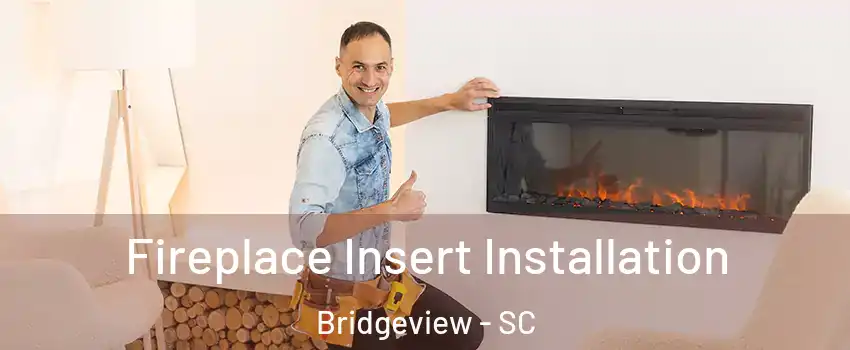 Fireplace Insert Installation Bridgeview - SC