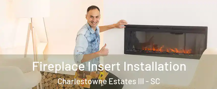 Fireplace Insert Installation Charlestowne Estates III - SC