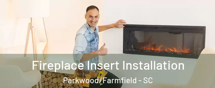 Fireplace Insert Installation Parkwood/Farmfield - SC