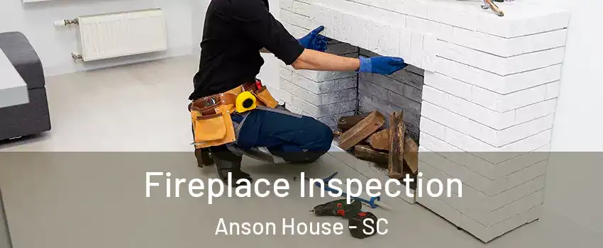 Fireplace Inspection Anson House - SC