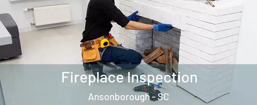 Fireplace Inspection Ansonborough - SC