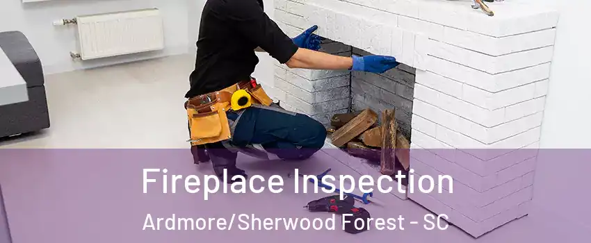 Fireplace Inspection Ardmore/Sherwood Forest - SC