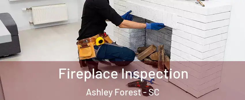 Fireplace Inspection Ashley Forest - SC