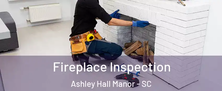 Fireplace Inspection Ashley Hall Manor - SC