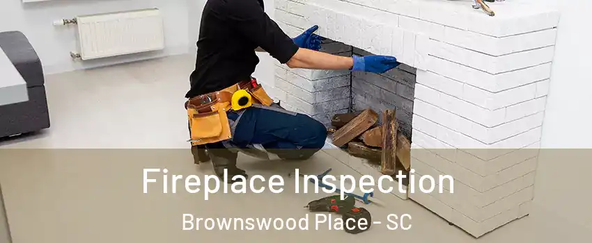 Fireplace Inspection Brownswood Place - SC