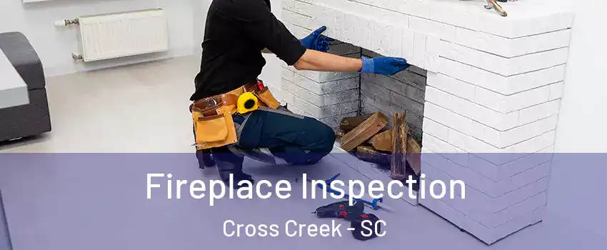 Fireplace Inspection Cross Creek - SC