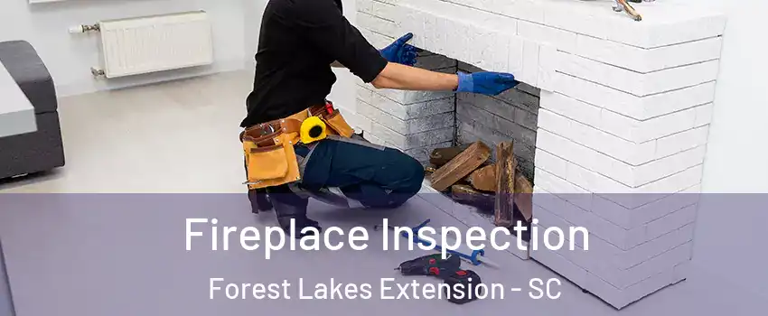 Fireplace Inspection Forest Lakes Extension - SC