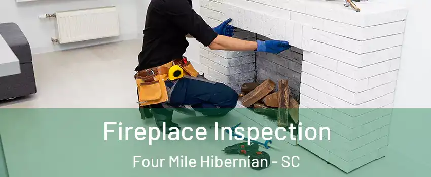 Fireplace Inspection Four Mile Hibernian - SC