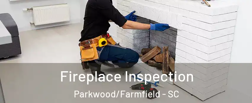 Fireplace Inspection Parkwood/Farmfield - SC