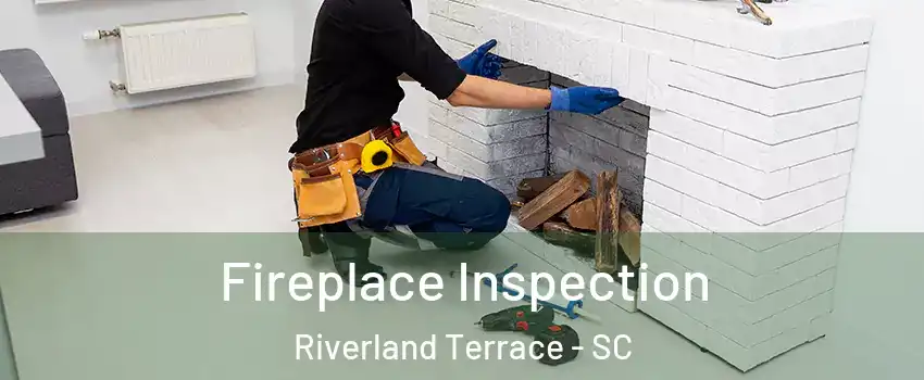 Fireplace Inspection Riverland Terrace - SC