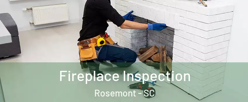 Fireplace Inspection Rosemont - SC