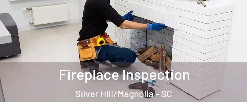 Fireplace Inspection Silver Hill/Magnolia - SC