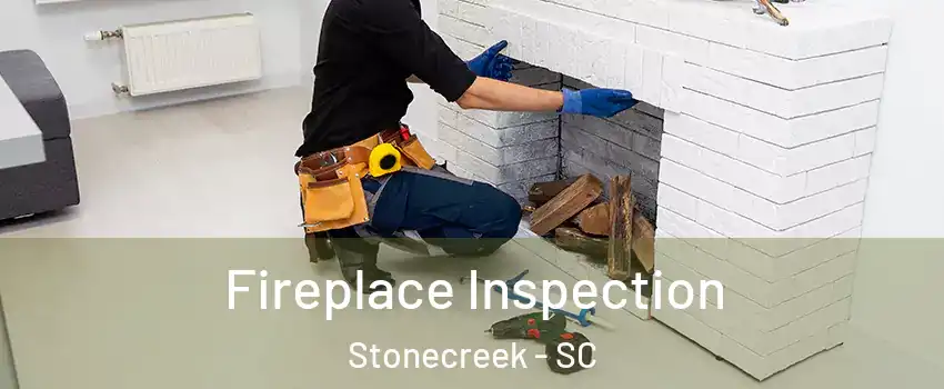 Fireplace Inspection Stonecreek - SC